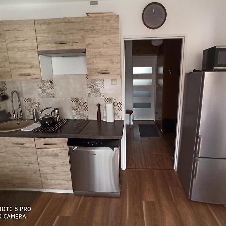 Apartament Pod Sanockim Zamkiem ซาน็อค ภายนอก รูปภาพ