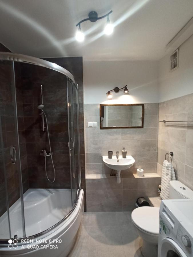 Apartament Pod Sanockim Zamkiem ซาน็อค ภายนอก รูปภาพ
