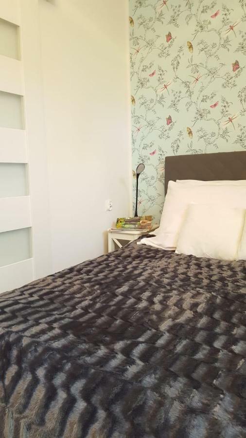 Apartament Pod Sanockim Zamkiem ซาน็อค ภายนอก รูปภาพ